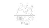 Toro Loco